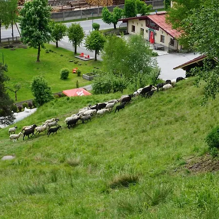 Hotel Josef - For Friends 3*